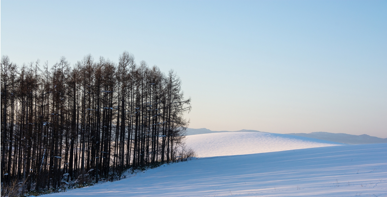 北海道の景色